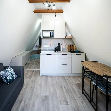 Volenter Lux Duna 公寓 包姚