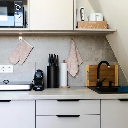 公寓 Volenter Lux Duna