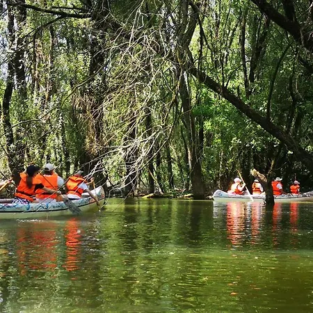 Volenter Lux Duna 公寓 包姚