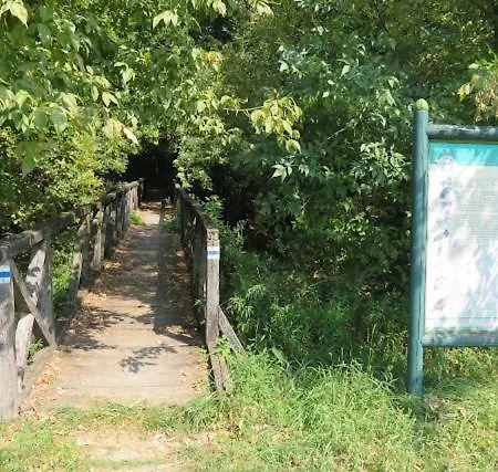 Volenter Lux Duna 公寓 包姚