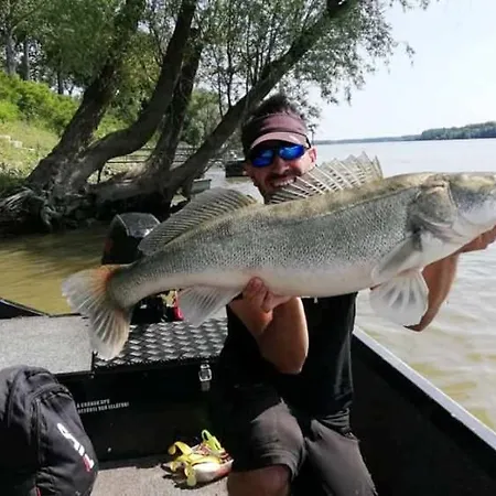 Volenter Lux Duna 公寓